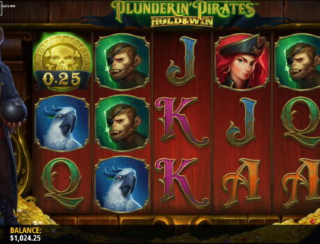 Plundering Pirates screenshot