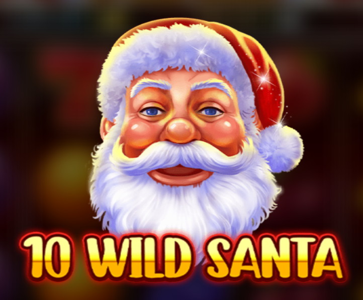 10 Wild Santa Santa face