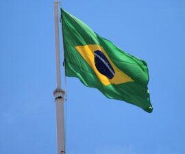 Brazilian Flag
