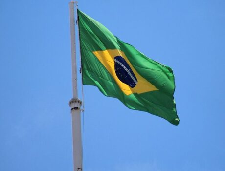 Brazilian Flag