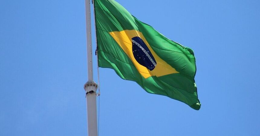 Brazilian Flag